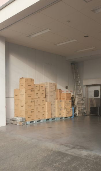 mak 8wy9mggmgou unsplash